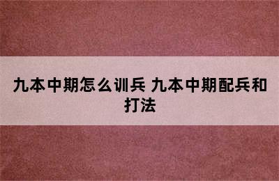 九本中期怎么训兵 九本中期配兵和打法